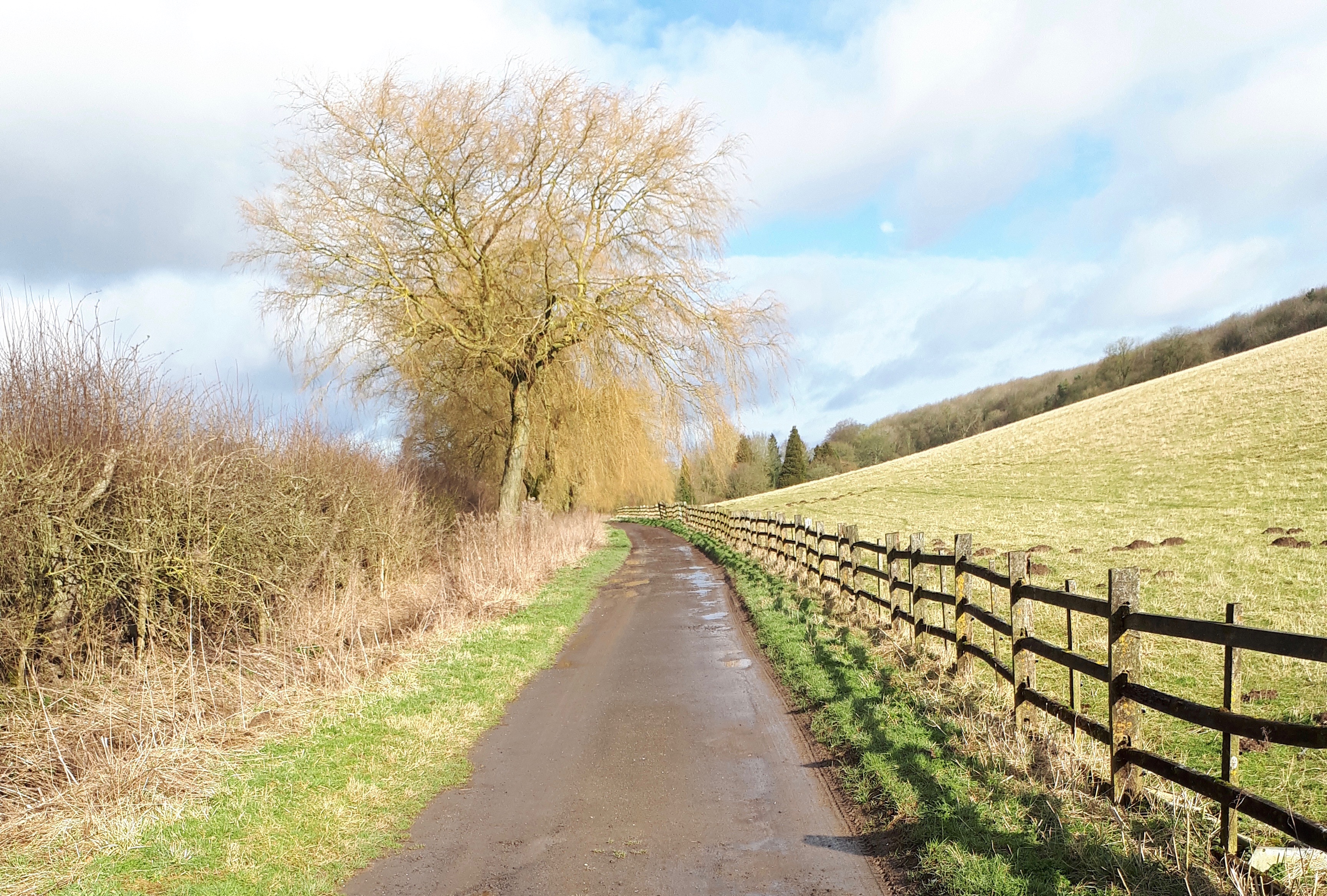A walk near Rothwell