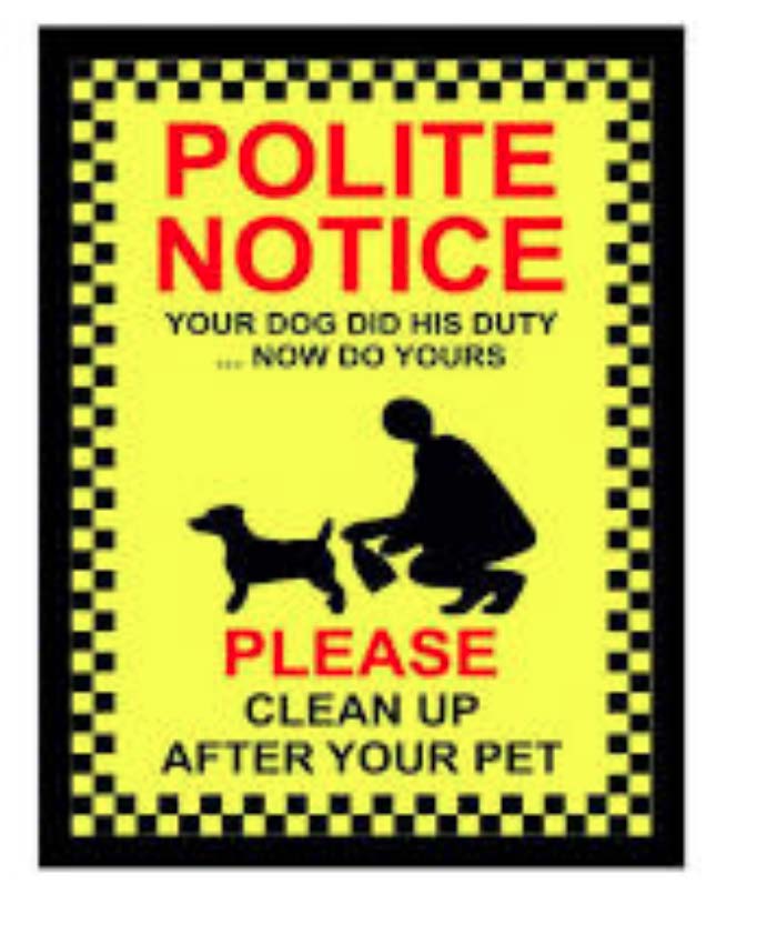 Clean up after your dog